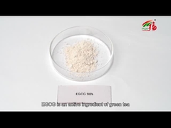 Green Tea Extract 98% Epigallocatechin Gallate EGCG Green Tea Extract And Caffeine