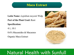 Chiết xuất rễ Maca