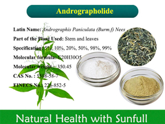 Andrographis Paniculata Chiết xuất Andrographolide