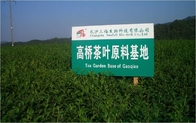 Green Tea Extract Polyphenols Catechins EGCG  Epicatechin