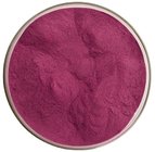 Cranberry Extract 25% Proanthocyanidins Berry Extract Anthocyanin Powder