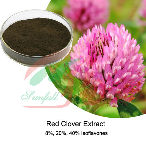 Red Clover extract Isoflavone
