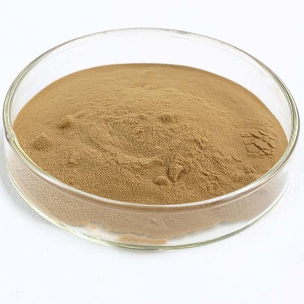 Coriolus Versicolor chiết xuất 10% ~ 50% Polysacchrides PSK PSP Turkey Tail Chiết xuất nấm