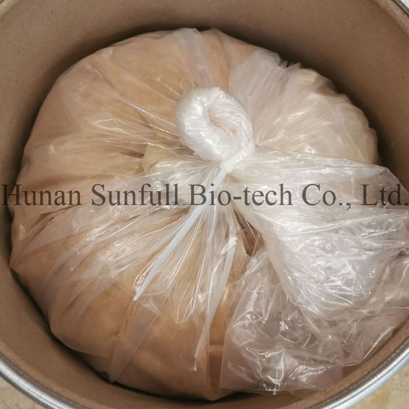 Chiết xuất lá Ginkgo Biloba 24/6 CAS 90045-36-6 Cp USP561 Ep EC396