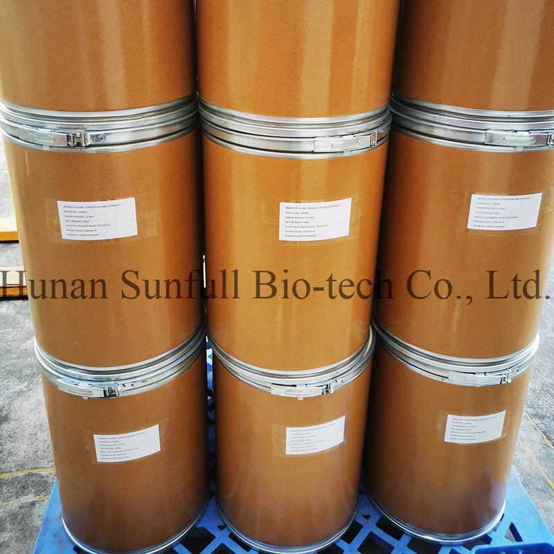 Chiết xuất lá Ginkgo Biloba 24/6 CAS 90045-36-6 Cp USP561 Ep EC396