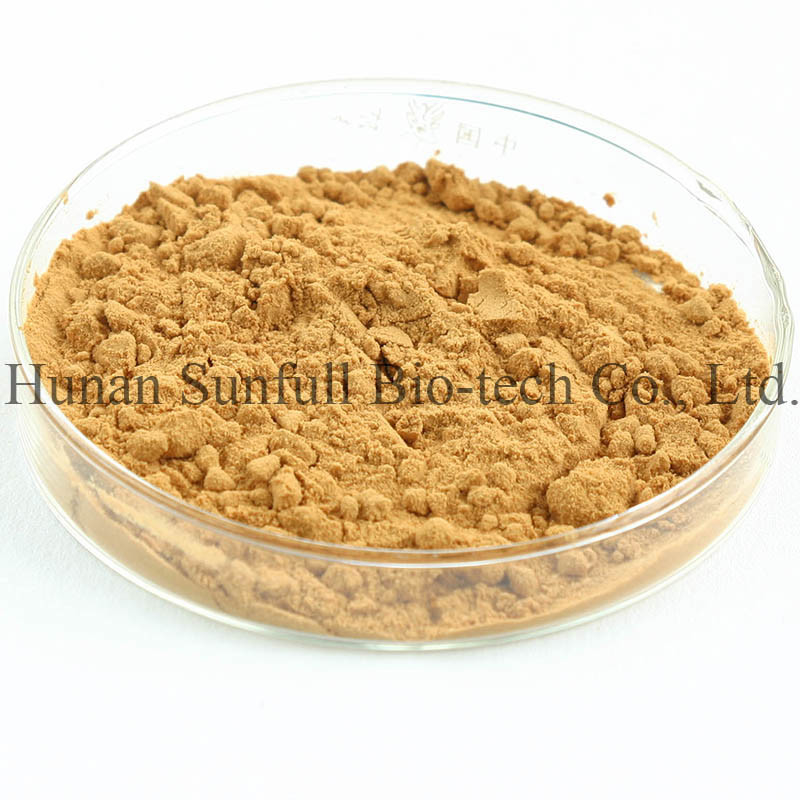 Chiết xuất lá Ginkgo Biloba 24/6 CAS 90045-36-6 Cp USP561 Ep EC396