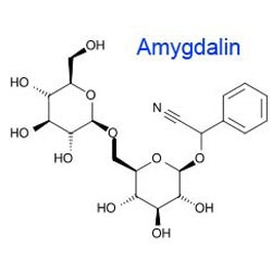 Amygdalin tự nhiên 98% tinh thể trắng bột nhạt hạnh nhân nhạt chiết xuất hạt cải xoăn cho các chất trung gian dược phẩm