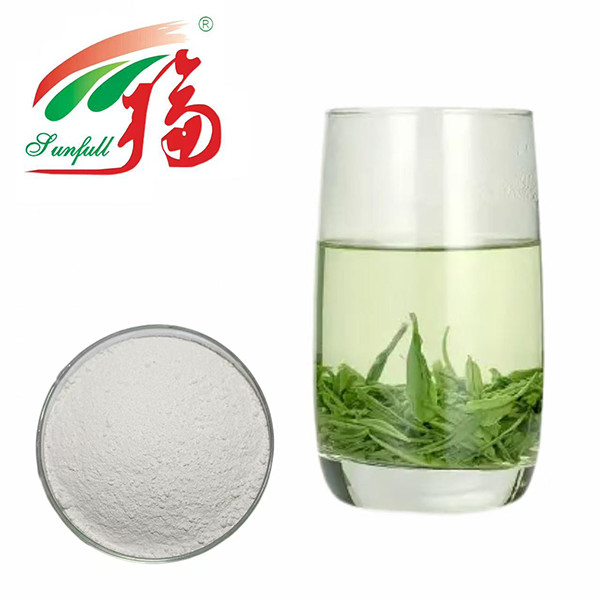 Sức mạnh chống oxy hóa tuyệt vời! 98% chiết xuất trà xanh EGCG