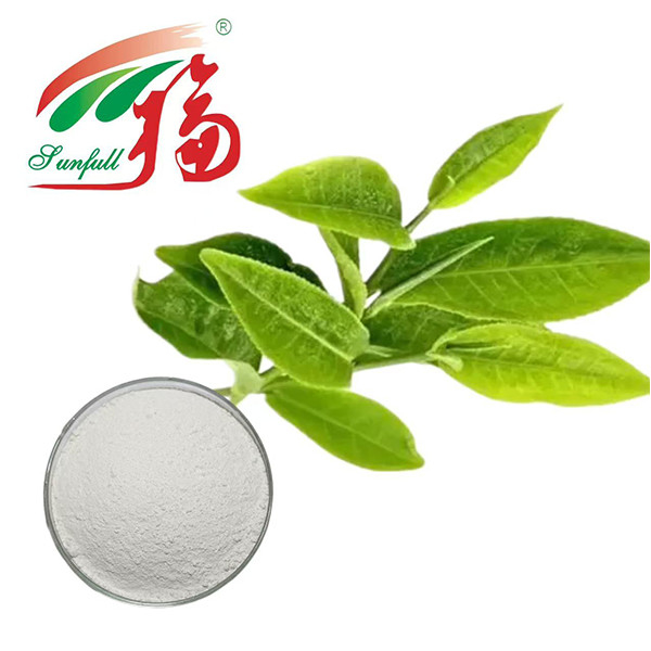 Sức mạnh chống oxy hóa tuyệt vời! 98% chiết xuất trà xanh EGCG