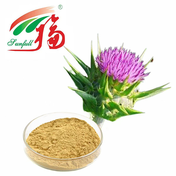 Chất chiết xuất 40% Silymarin Milk Thistle: Thành phần đáng tin cậy, có năng suất cao cho các giải pháp chăm sóc gan cao cấp