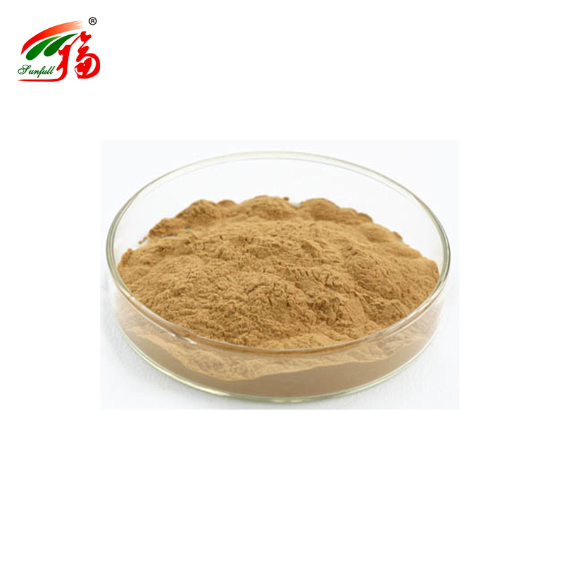 Trung Quốc Nhà máy chiết xuất gốc Kudzu tự nhiên Puerarin với 25% 60% 98% Cho tùy chọn