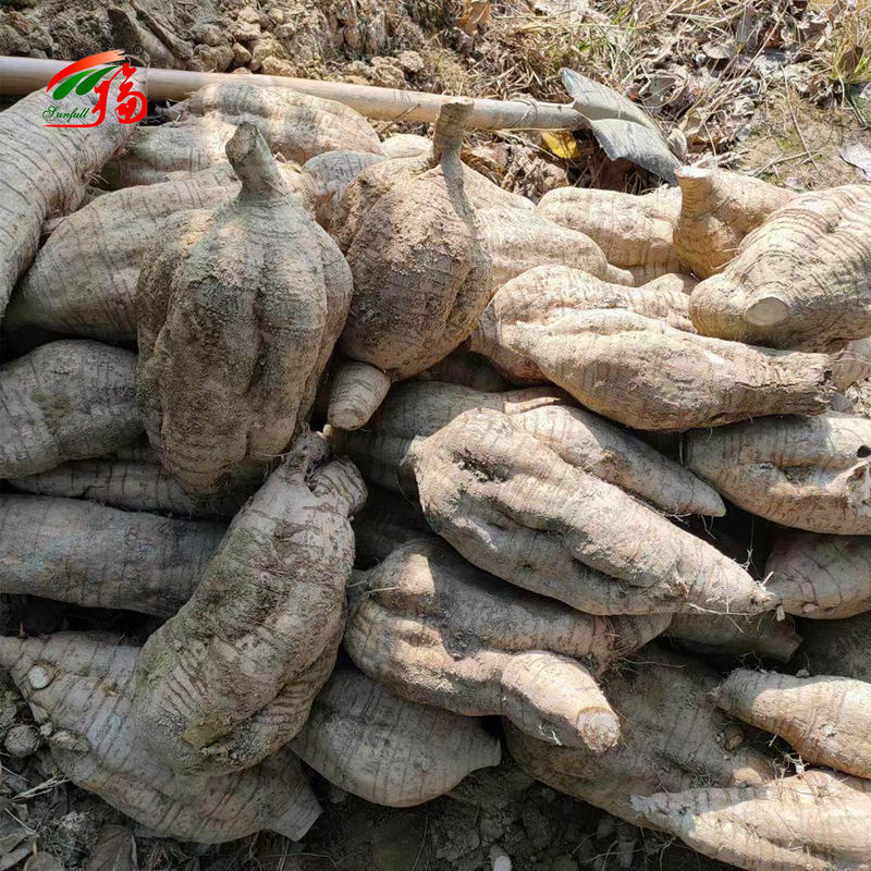 Trung Quốc Nhà máy chiết xuất gốc Kudzu tự nhiên Puerarin với 25% 60% 98% Cho tùy chọn