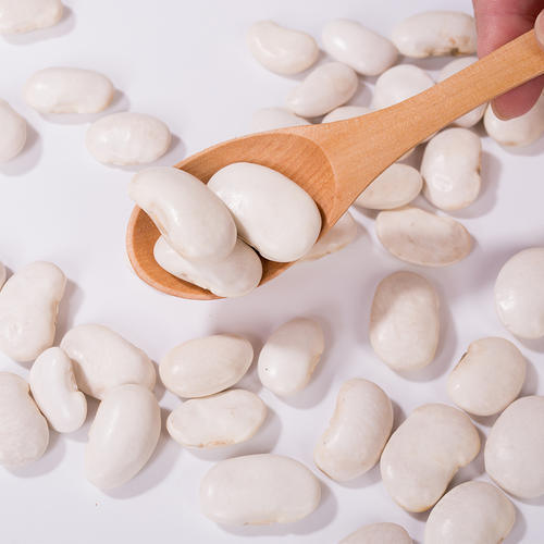 Chiết xuất đậu thận trắng cao cấp (Phaseolus vulgaris) - Thuốc ức chế α-Amylase tinh khiết cao để quản lý cân nặng và đường huyết