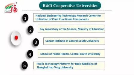 Bột chiết xuất tự nhiên từ Nấm Coprinus Comatus với 50% Polysaccharides, kích thước 80 Mesh và thời hạn sử dụng 2 năm
