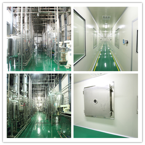 Bột chiết xuất Coprinus Comatus với thời hạn sử dụng 2 năm, kích thước 80 mesh và công suất sản xuất 20 tấn/năm