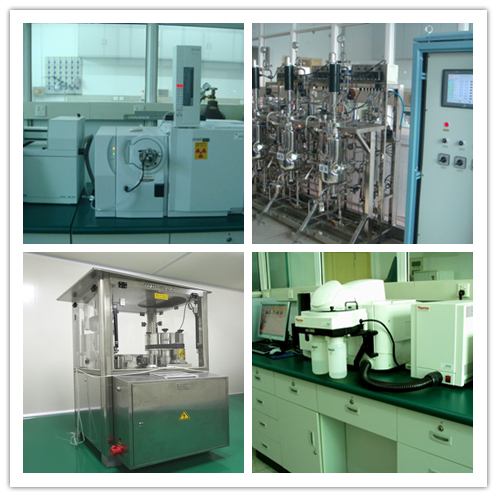 Bột chiết xuất nấm Marasmius Androsaceus chất lượng cao, kích thước 80 mesh, thời hạn sử dụng 2 năm và công suất sản xuất 20 tấn/năm