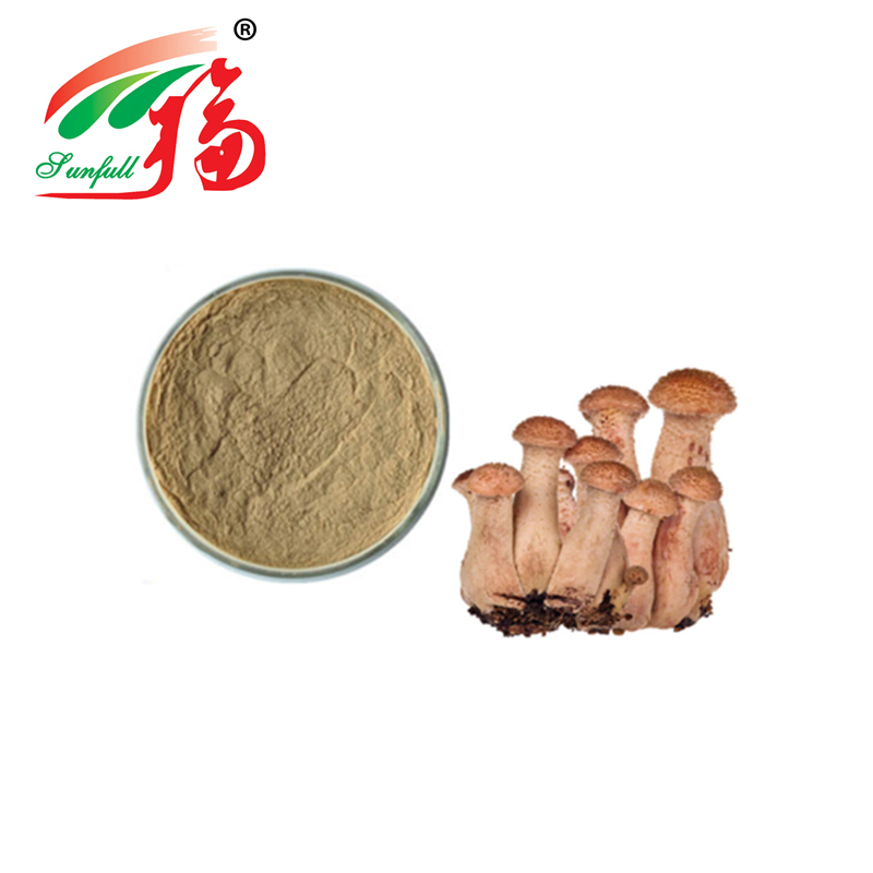 Wholesale Armillaria Mellea Extract Powder with 20t/Year Production Capacity Fine Brown Yellow Powder and Good Solubility in Water
