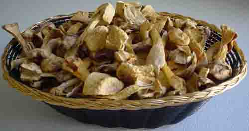 Chiết xuất Agaricus Blazei 40% Polysaccharides cho Thực phẩm chức năng và Sản phẩm chăm sóc sức khỏe