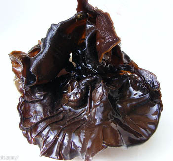 Black Fungus Extract Powder with 40% Polysaccharides Soluble in Water for Regulating Blood Sugar and Hypolipidemic Effects