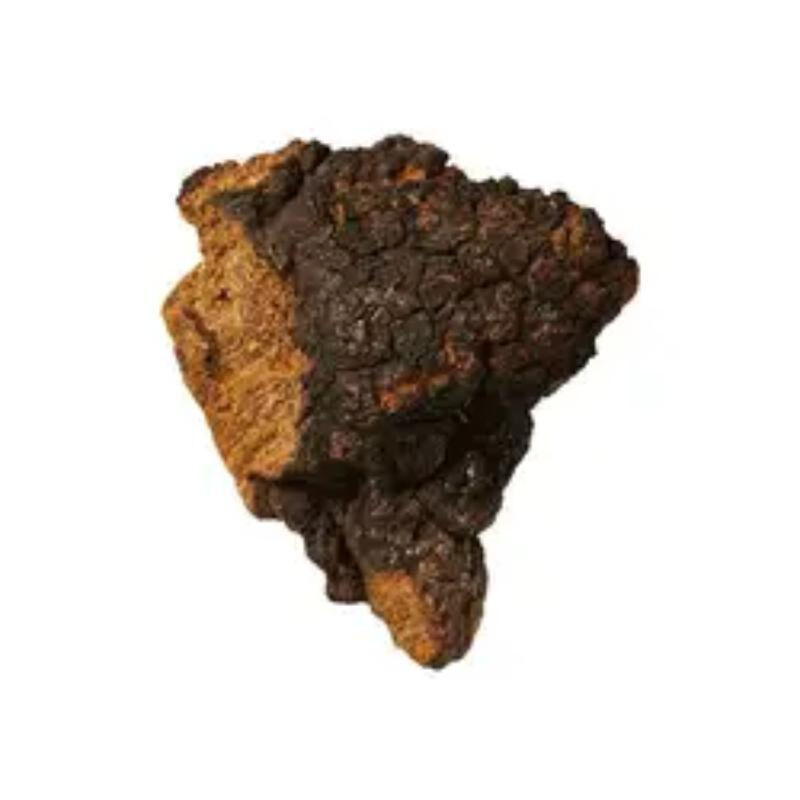 Chiết xuất Chaga 10% Polysaccharides Bột màu vàng nâu mịn cho thực phẩm chức năng và các sản phẩm chăm sóc sức khỏe