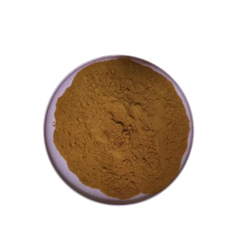 Chiết xuất Chaga 20% Polysaccharides cho thực phẩm chức năng để tăng cường miễn dịch như bột chiết xuất nấm