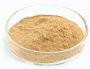 Dầu chiết xuất nấm hàu với 30% polysaccharides cho thực phẩm chức năng và lợi ích chống khối u