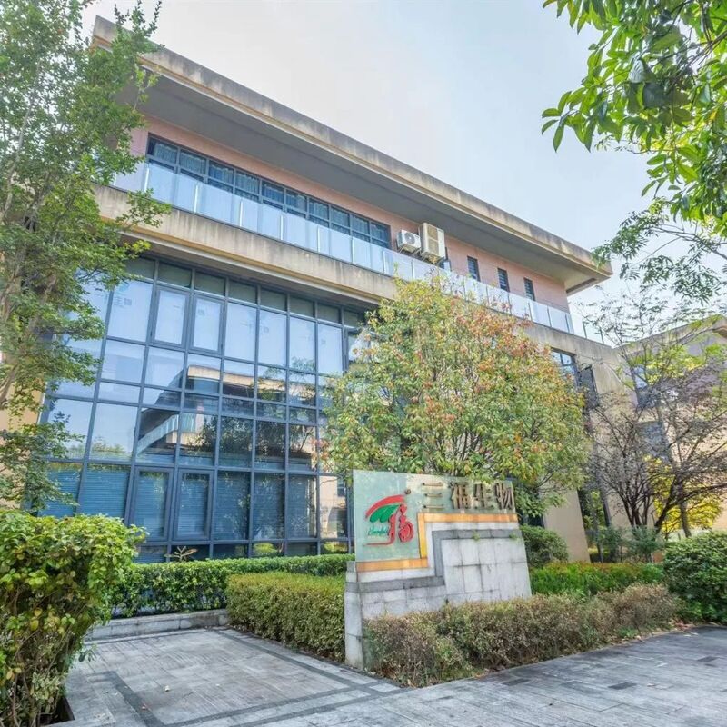 Poria Cocos Extract Powder 30% Polysaccharides Bột màu vàng nhạt để tăng khả năng miễn dịch