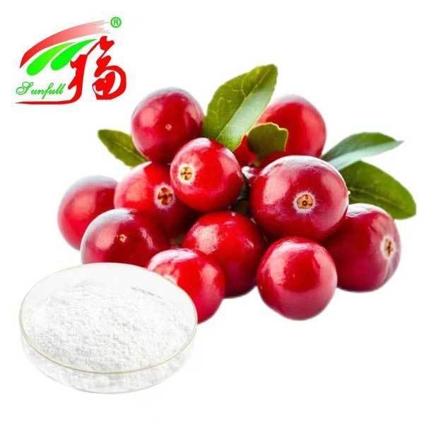 Bearberry Extract  Cosmetic Additives Plant Extract 98% Ursolic Acid Ursi Extract Bearberry Leaf Extract for Skin Care Factory Supply 25~98% Arbutin Powder