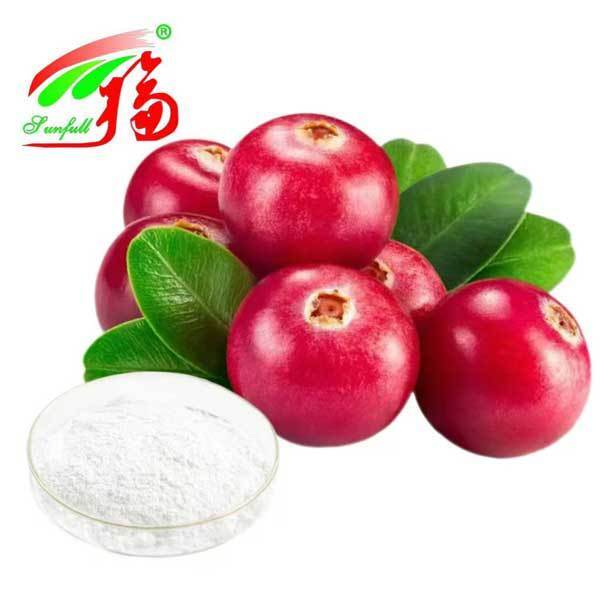 Bearberry Extract  Cosmetic Additives Plant Extract 98% Ursolic Acid Ursi Extract Bearberry Leaf Extract for Skin Care Factory Supply 25~98% Arbutin Powder