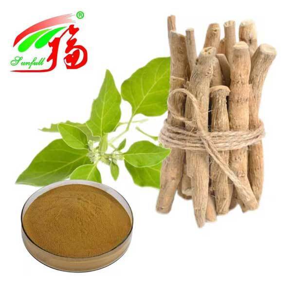 Withania Somnifera Nam Phi Withanolides 5% Chiết xuất rễ Ashwagandha Sản phẩm chăm sóc sức khỏe thực phẩm