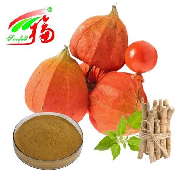 Withania Somnifera Nam Phi Withanolides 5% Chiết xuất rễ Ashwagandha Sản phẩm chăm sóc sức khỏe thực phẩm