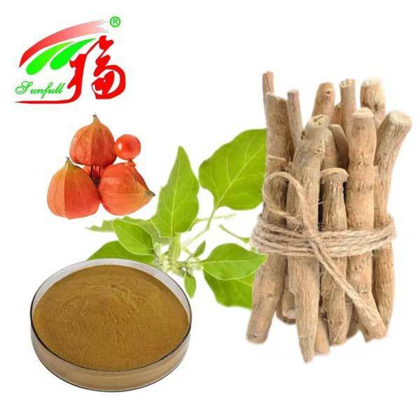 Withania Somnifera Nam Phi Withanolides 5% Chiết xuất rễ Ashwagandha Sản phẩm chăm sóc sức khỏe thực phẩm