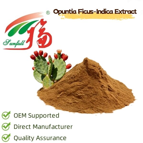 Chiết xuất Xương rồng (Thân, Quả & Lá) - Chiết xuất thực vật tự nhiên dưỡng ẩm & chống oxy hóa cho sản phẩm chăm sóc da, mỹ phẩm và sản phẩm chức năng
