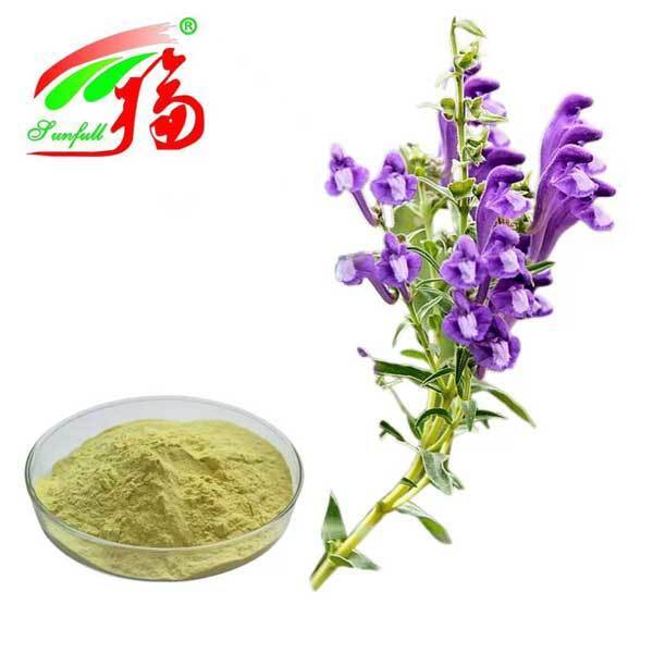 Thành phần chăm sóc sức khỏe 10%~95% Baicalin Baicalein bột chiết xuất Hoàng Cầm Scutellaria baicalensis Georgi chiết xuất rễ Hoàng Cầm chiết xuất Hoàng Cầm Mông Cổ
