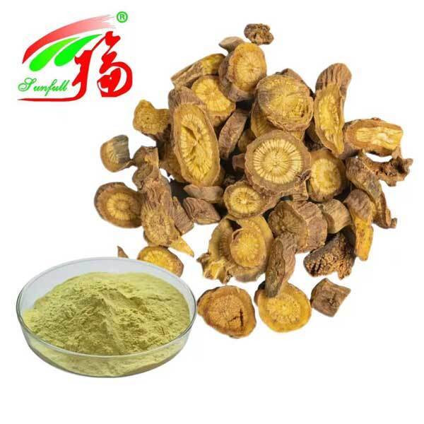 Thành phần chăm sóc sức khỏe 10%~95% Baicalin Baicalein bột chiết xuất Hoàng Cầm Scutellaria baicalensis Georgi chiết xuất rễ Hoàng Cầm chiết xuất Hoàng Cầm Mông Cổ