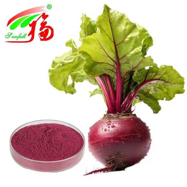 Beet Root Extract 1%-25% Betanin Beetroots Extract Beta Vulgaris L. Health Care Products