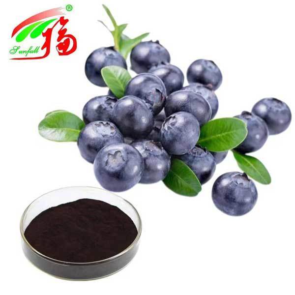 Chất chiết xuất quả bilberry 10% 25% Anthocyanidins (UV-VIS) Chất chống oxy hóa Vaccinium Myrtillus L. Bilberry cho bổ sung hỗ trợ thị lực