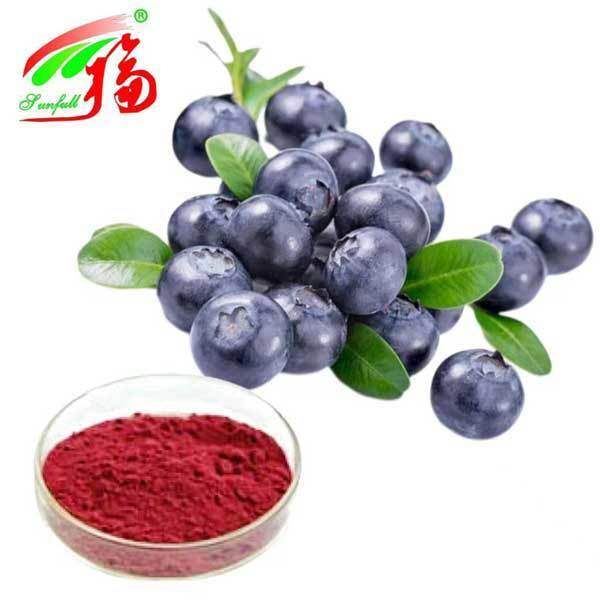 Chất chiết xuất quả bilberry 10% 25% Anthocyanidins (UV-VIS) Chất chống oxy hóa Vaccinium Myrtillus L. Bilberry cho bổ sung hỗ trợ thị lực