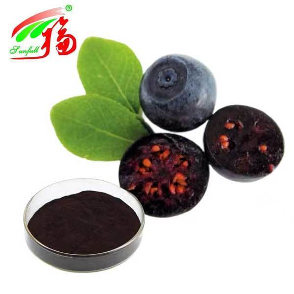 Chất chiết xuất quả bilberry 10% 25% Anthocyanidins (UV-VIS) Chất chống oxy hóa Vaccinium Myrtillus L. Bilberry cho bổ sung hỗ trợ thị lực