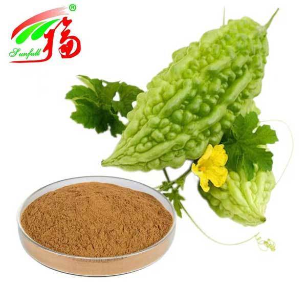 Chiết xuất dưa leo đắng bột dưa leo đắng Momordica Charantia Sản phẩm chăm sóc sức khỏe Y học