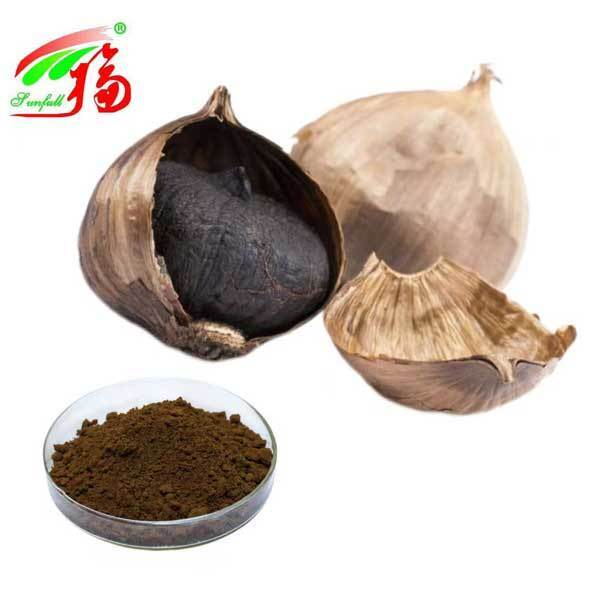Black Garlic Extract Powder Polyphenol1%-3% S-Alloy-L-Cystein 0.1%-1% Allium Sativum L. Extract