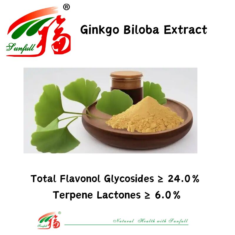 100% hòa tan trong nước tự nhiên 24% Ginkgolides Ginkgo Biloba lá chiết xuất bột cho thực phẩm bổ sung