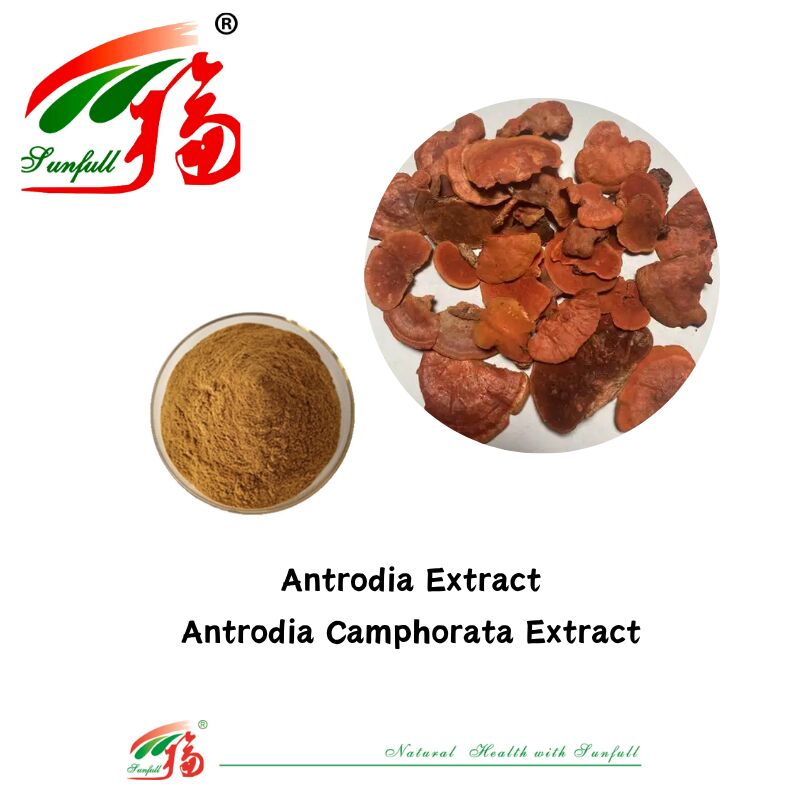Hunan Sunfull bổ sung chế độ ăn uống Agaricus Subrufescens/Hericium Erinaceus/Antrodia/Cordyceps Sinensis/Coriolus Versicolor/Trứng chiết xuất nấm