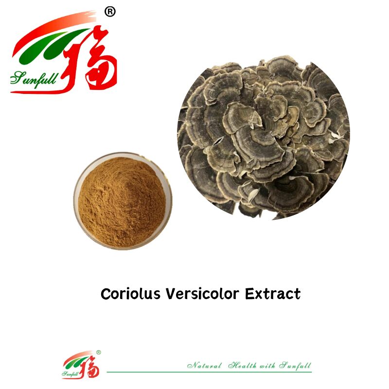 Hunan Sunfull bổ sung chế độ ăn uống Agaricus Subrufescens/Hericium Erinaceus/Antrodia/Cordyceps Sinensis/Coriolus Versicolor/Trứng chiết xuất nấm