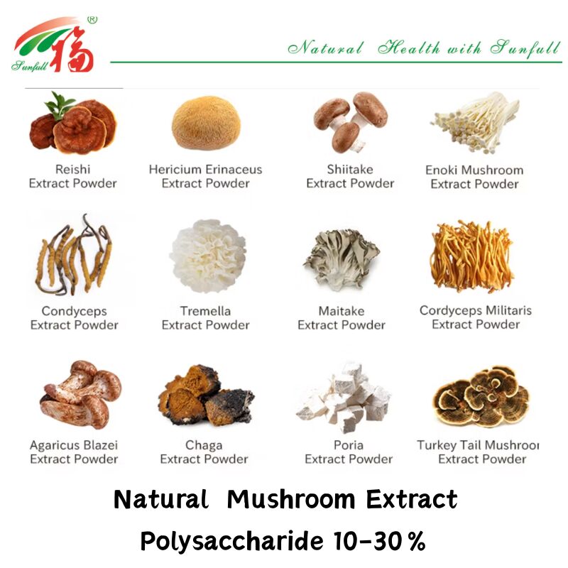 Thành phần hữu cơ tự nhiên Các chất bổ sung chế độ ăn uống Polysaccharide 10-30% Phellinus Igniarius /Ganoderma Lucidum /Chaga /Maitake / Shiitake