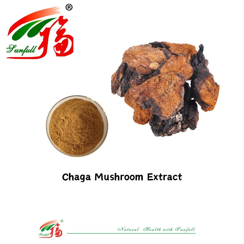 Thành phần hữu cơ tự nhiên Các chất bổ sung chế độ ăn uống Polysaccharide 10-30% Phellinus Igniarius /Ganoderma Lucidum /Chaga /Maitake / Shiitake
