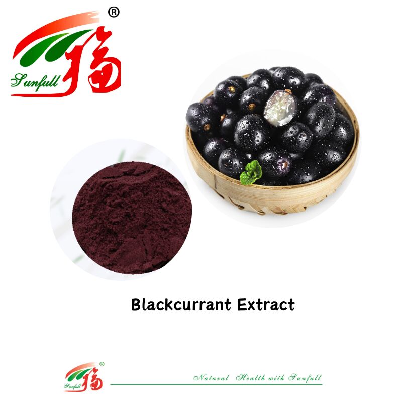 Hunan Sunfull Nhà máy cung cấp chất lượng cao chất chống oxy hóa tự nhiên Anthocyanins 1% -25% Billberry/Elderberry/Acai Berry/Blackcurrant/Blueberry Extract