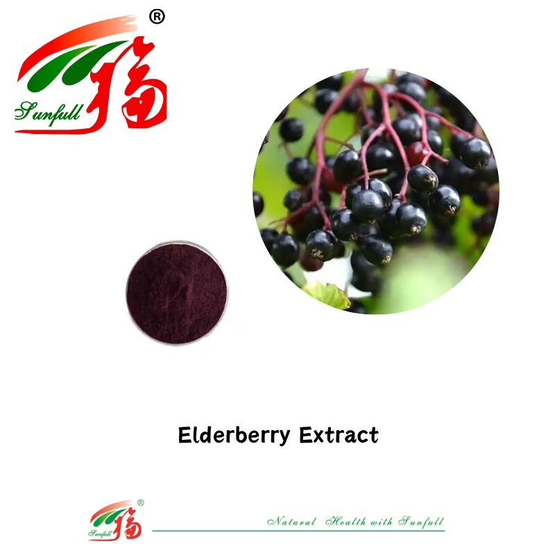 Hunan Sunfull Nhà máy cung cấp chất lượng cao chất chống oxy hóa tự nhiên Anthocyanins 1% -25% Billberry/Elderberry/Acai Berry/Blackcurrant/Blueberry Extract
