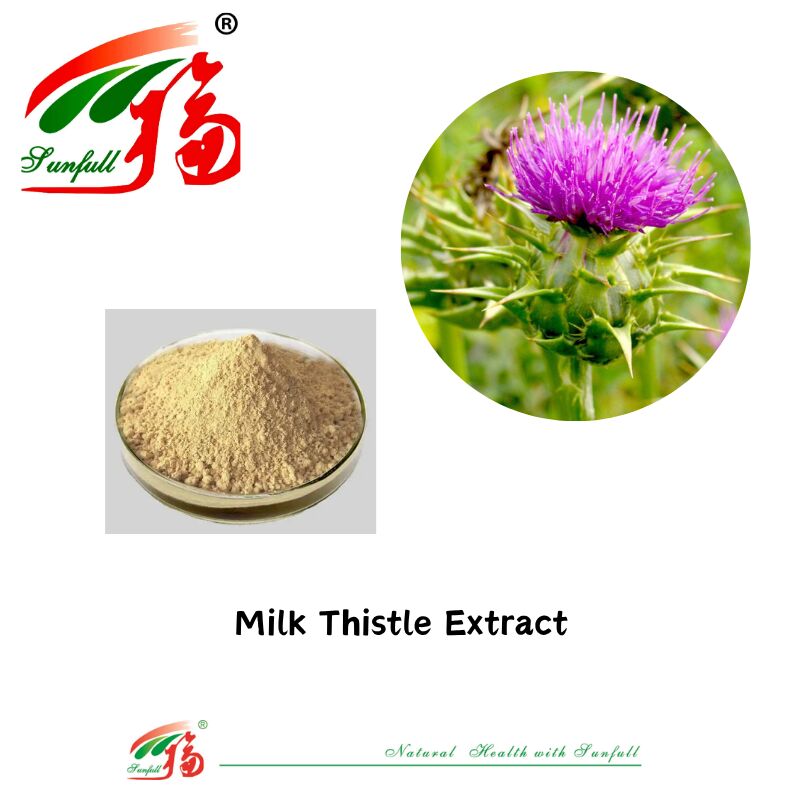 Các loại thảo dược Silybum Marianum Cây hạt sừng sừng bột 30% Silybins HPLC UV 40% ~ 80% Liposome 40% - 80% Silymarin Milk Thistle Extract cho sức khỏe gan