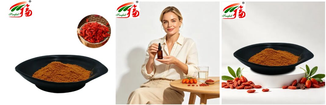 Thực phẩm bổ sung tự nhiên của Trung Quốc Anthocyanin 1-25% Polysacarit 10% -50% Chiết xuất Lycium Barbarum Chiết xuất Wolfberry / Chiết xuất Goji Berry